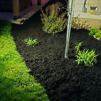 High 5 landscaping - Lawn Services Near Me High 5 landscaping - Lawn Services Near Me