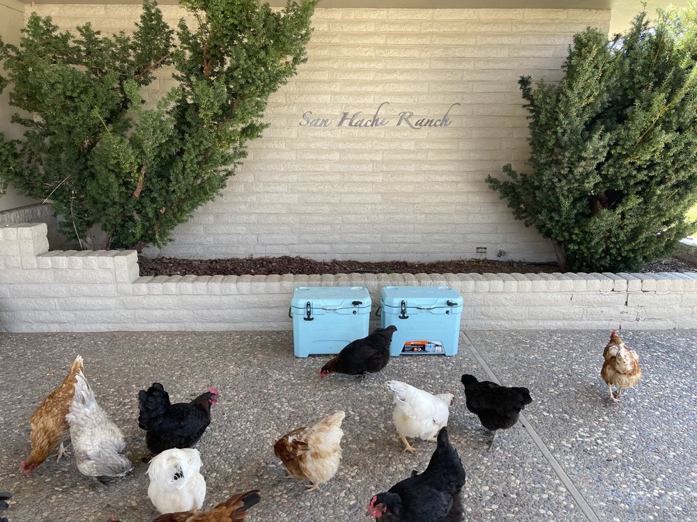 SAN HACHI RANCH Updated September 2024 2515 Hwy 395 N, Minden, Nevada Ranches Yelp