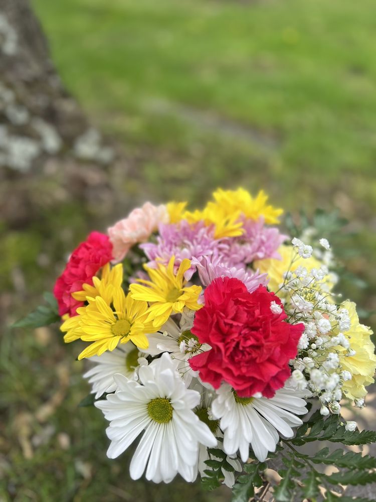 BLOOMINGDALE’S FLORIST & GIFTS Updated September 2024 12 Photos