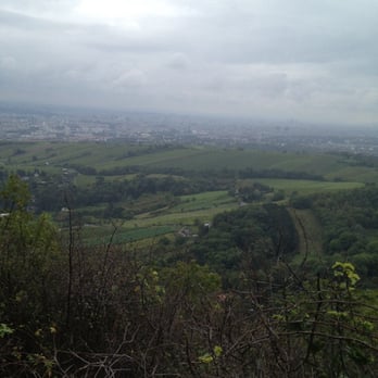 Leopoldsberg - Blick über Wien - Local Flavor Near Me - Vienna, 9