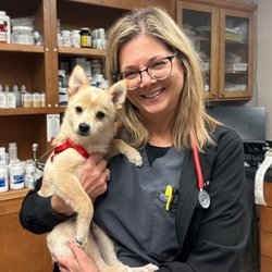 Creekside Animal Hospital