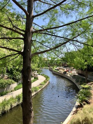 San Antonio River Walk by null