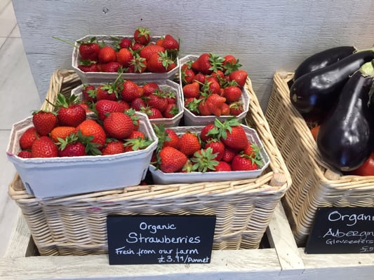 Daylesford Organic by null