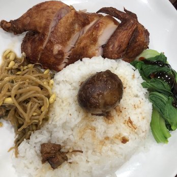 Noodle Pot - Chinese Near Me - Las Vegas, Nevada Noodle Pot - Chinese Near Me - Las Vegas, Nevada
