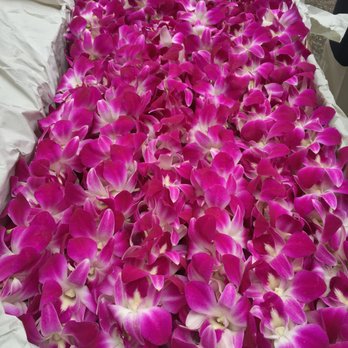 Moe's Flowers - 8 Beautiful Lei's - Florists Near Me - Berkeley, California Moe's Flowers - 8 Beautiful Lei's - Florists Near Me - Berkeley, California
