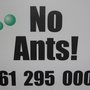 Photo of No Ants