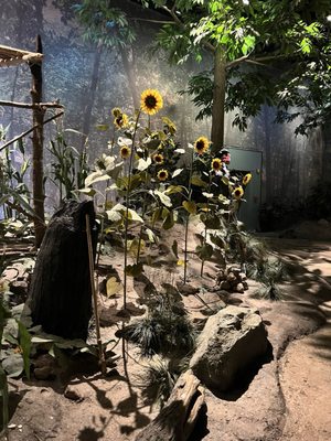 Mashantucket Pequot Museum & Research Center by null