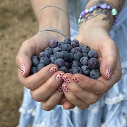 Once In A Blue Moon Berries - Blueberries