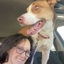 Photo of Kokopelli Animal Clinic