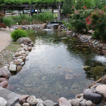 Everything Fishy - After April 2018 cleanup - Aquarium Services Near Me - Fort Worth, Texas