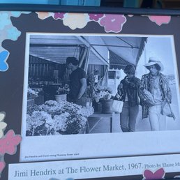 Jimi says visit the Flower Market! Jimi says visit the Flower Market!