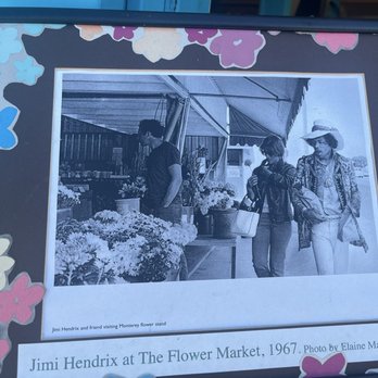The Flower Market - Jimi says visit the Flower Market! - Florists Near Me - Monterey, California The Flower Market - Jimi says visit the Flower Market! - Florists Near Me - Monterey, California