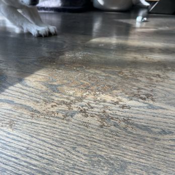 Ada Hardwood Flooring - Stain - Flooring Near Me - Des Plaines, Illinois