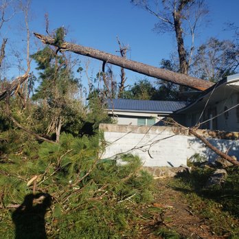 International Tree Professional - Tree Services Near Me International Tree Professional - Tree Services Near Me