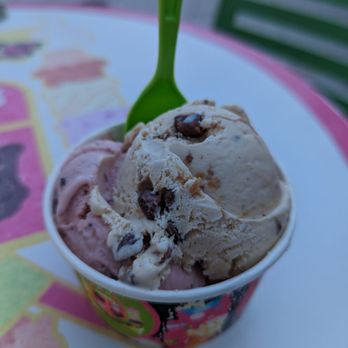 Sloan's - Clematis St. - a cup of ice cream - Ice Cream & Frozen Yogurt Near Me - West Palm Beach, Florida