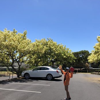 Napili Park - Our ride... - Parks Near Me - Lahaina, Hawaii