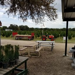 Took the kids to the Halloween pumpkin patch. Very nice time. Hay and tractor rides, pumpkin & face painting. Will definitely return. Took the kids to the Halloween pumpkin patch. Very nice time. Hay and tractor rides, pumpkin & face painting. Will definitely return.