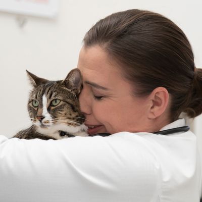 Banfield Pet Hospital 27 Photos 47 Reviews Veterinarians 2418 Foothill Blvd La Verne Ca United States Phone Number Yelp