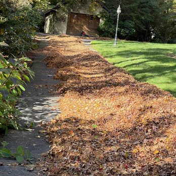 Monroy Brothers Landscaping - Landscaping Near Me Monroy Brothers Landscaping - Landscaping Near Me