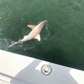 Pura Vida Charters - Tours Near Me - Saint Petersburg, Florida Pura Vida Charters - Tours Near Me - Saint Petersburg, Florida