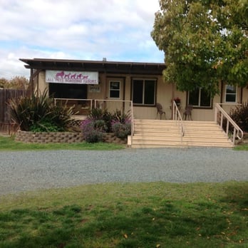 All Pets Boarding Resort - Pet Groomers Near Me - Loomis, California