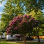 Photo of Creekside RV Park