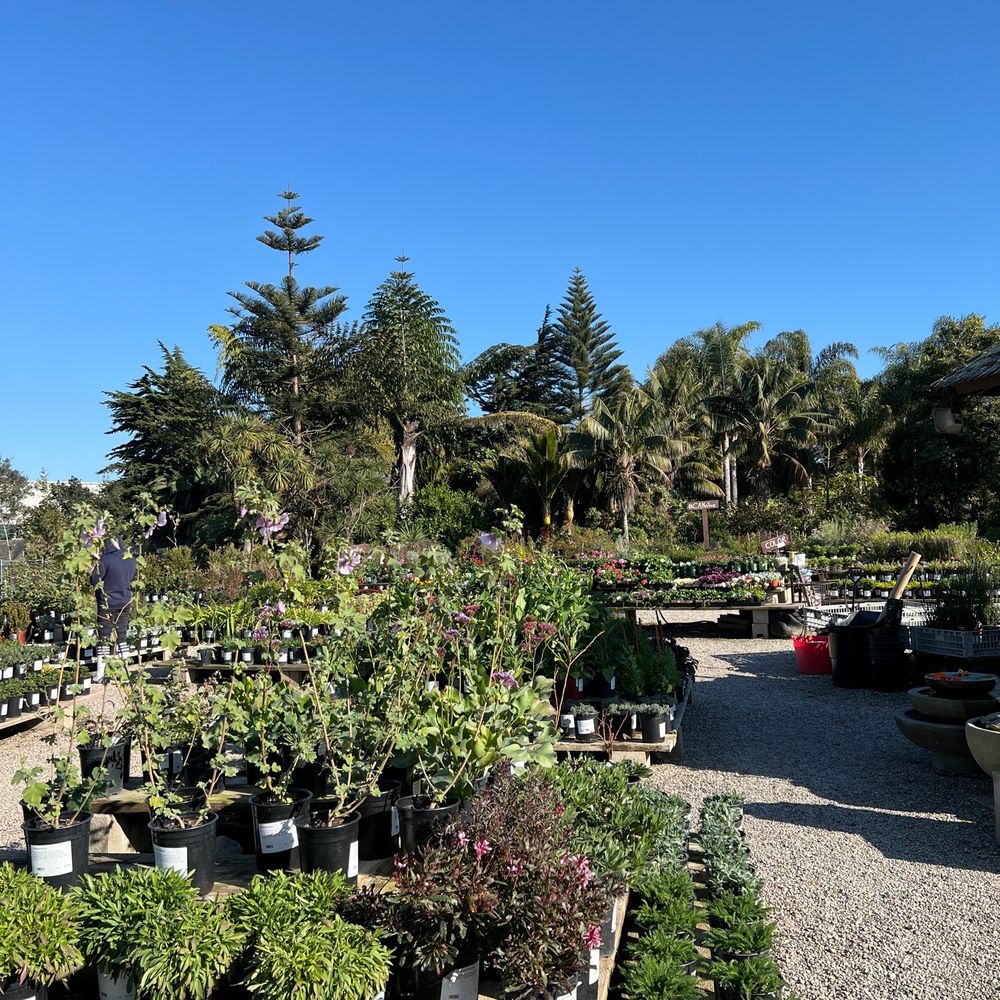 Seaside Gardens - Nurseries & Gardening Near Me - Carpinteria, California Seaside Gardens - Nurseries & Gardening Near Me - Carpinteria, California