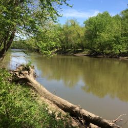 Carpenter Park
