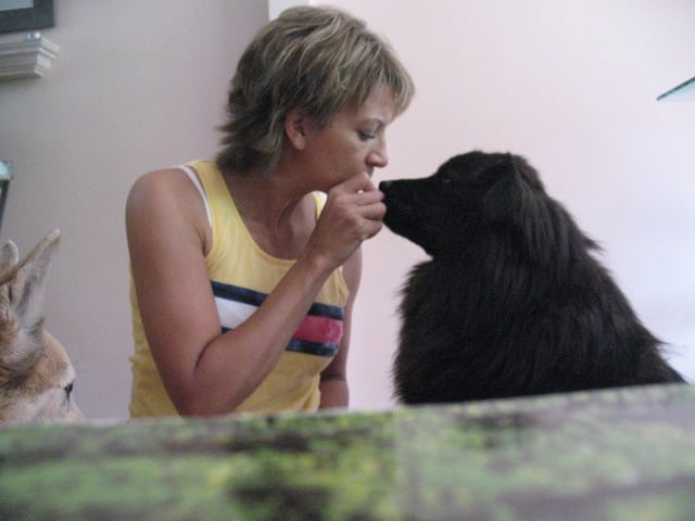 Pawz For Health In Home Dog Training