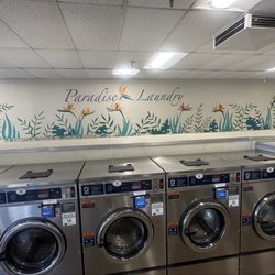 Paradise Laundry - Citrus Heights - Lots of large washers