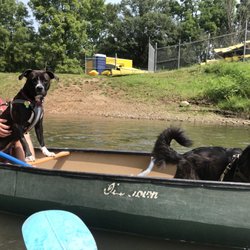 Loudonville Canoe Livery - Pups on a canoe!