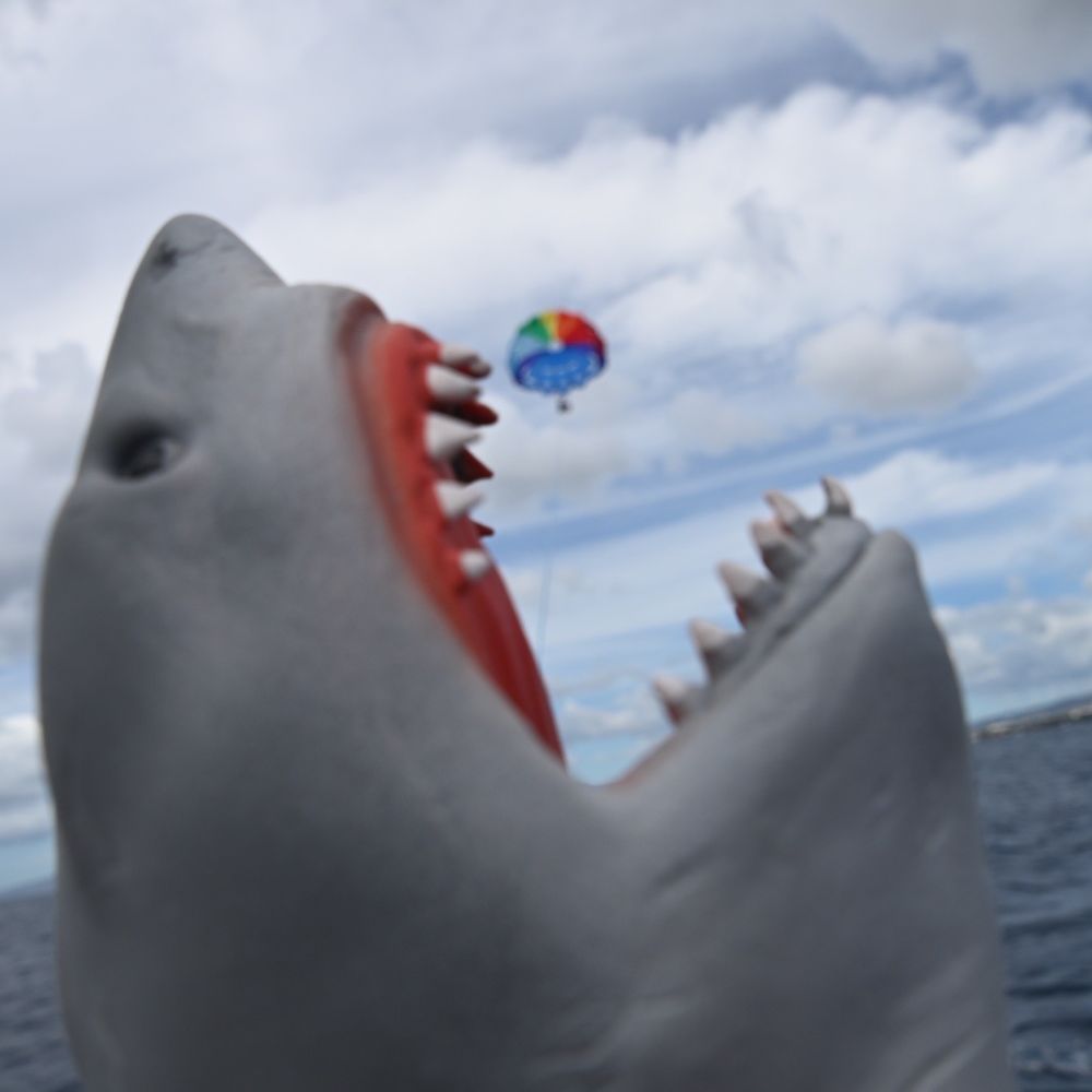 Hawaiian Parasail - Parasailing Near Me - Honolulu, Hawaii