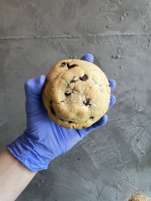 Coping Cookies by null