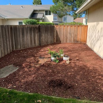 Better Lawns - Yard with wood chips and fabric before - Lawn Services Near Me - San Mateo, California Better Lawns - Yard with wood chips and fabric before - Lawn Services Near Me - San Mateo, California
