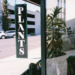 Vida Plant Shop