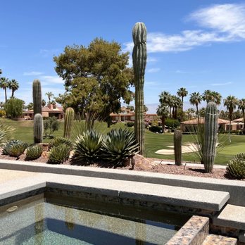 DesertScape Design - This modern home has beautiful views. We were asked to refresh the existing desert landscape which was overgrown and crowded. - Landscape Architects or Designers Near Me