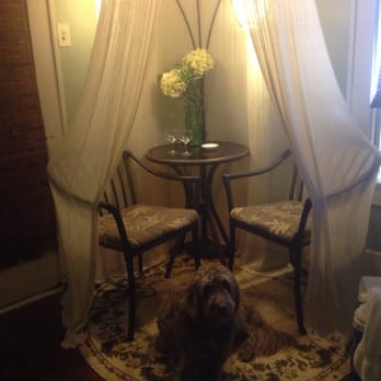 Avenue O Bed and Breakfast - Dog friendly!!! Moose chillin' in the Rainforest room. - Bed & Breakfast Near Me - Galveston, Texas Avenue O Bed and Breakfast - Dog friendly!!! Moose chillin' in the Rainforest room. - Bed & Breakfast Near Me - Galveston, Texas