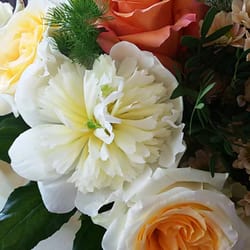 Fratelli Monzani - Peonia circondata dalle rosellone