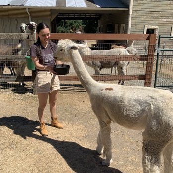 Topstall Farm - Attraction Farms Near Me - Roy, Washington
