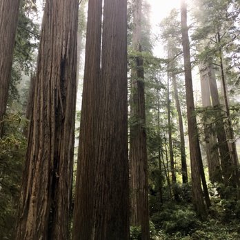 Scopa Properties - Vacation Rentals Near Me - Crescent City, California