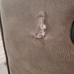 Sweat's Furniture - Damage caused by a pet. Warranty policy is supposed to cover (according to Sweat's salesperson) ...... denied. Almost 300 wasted.