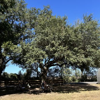 Restivo Family Cellars - The perfect sky while visiting the winery - Wine Tasting Room Near Me - Hockley, Texas Restivo Family Cellars - The perfect sky while visiting the winery - Wine Tasting Room Near Me - Hockley, Texas