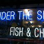 Photo of Under the Sea