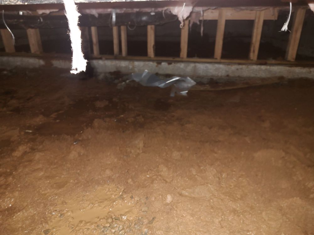 Slide of RatSlab Crawl Space Encapsulation & Waterproofing Services