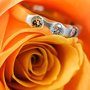 Photo of Shannon's Fine Jewelry