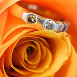 Shannon's Fine Jewelry