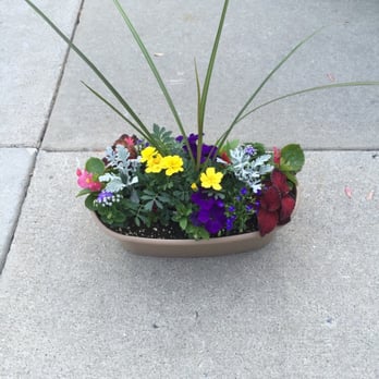 Schwartz's Greenhouse - Tabletop pot we bought - Nurseries & Gardening Near Me - New Boston, Michigan