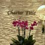 Photo of Charter Title