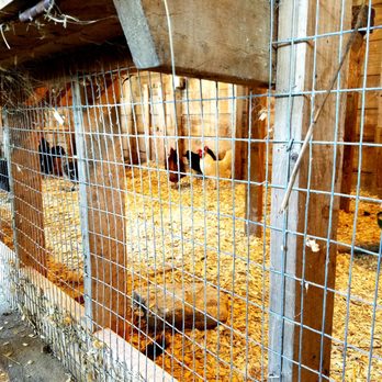 Gorman Heritage Farm - Farms Near Me - Evendale, Ohio