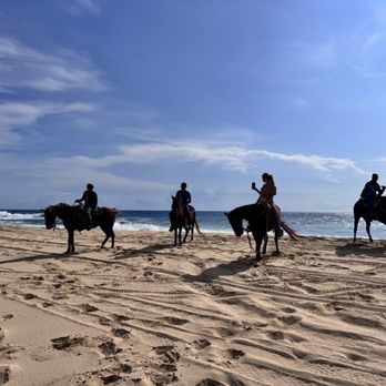 Picacho Adventures - Tour en caballo - Tours Near Me - Cabo San Lucas, BCS Picacho Adventures - Tour en caballo - Tours Near Me - Cabo San Lucas, BCS